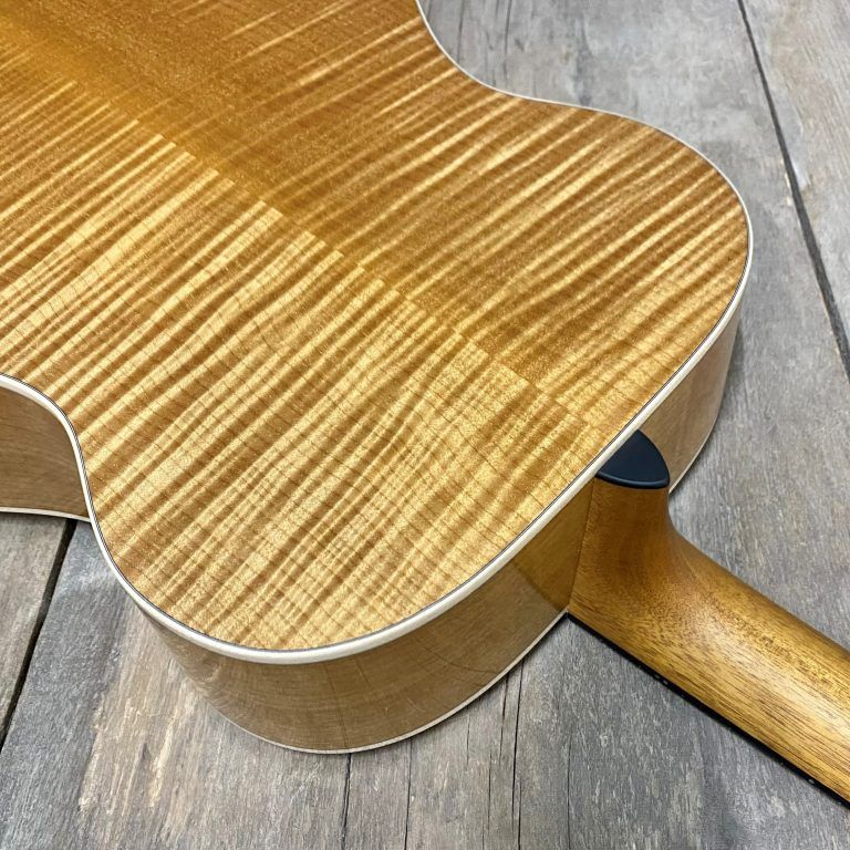 OM Hybride GR-SG-161T