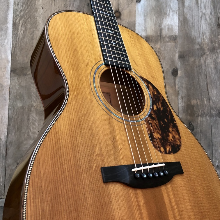 000-12 Cases HG-66-M