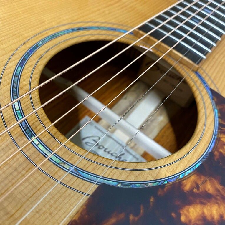 Dreadnought SG-182-PUV Bearclaw