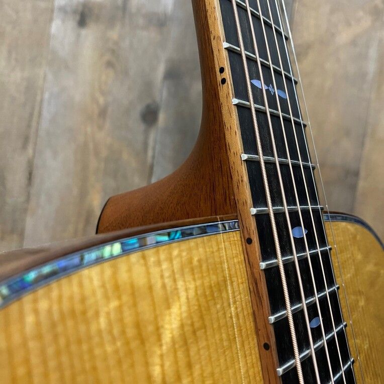 Dreadnought SG-182-PUV Bearclaw