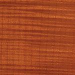 Érable ondé canadien